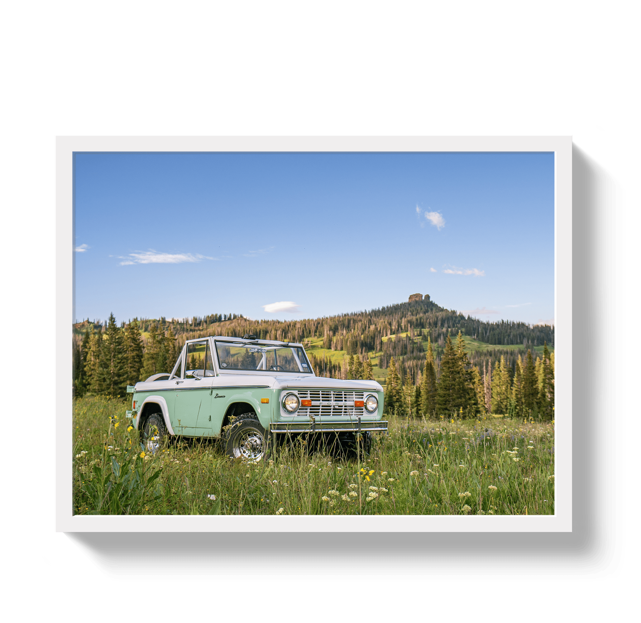 Johnny Vacay White / 11x14 / Full Bleed Bronco View 2