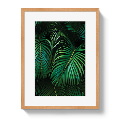 Palm