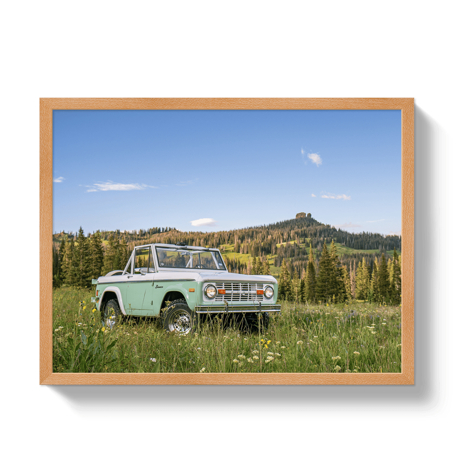 Johnny Vacay Oak / 11x14 / Full Bleed Bronco View 2