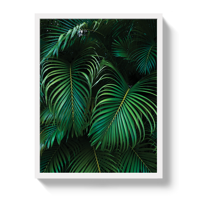 Palm