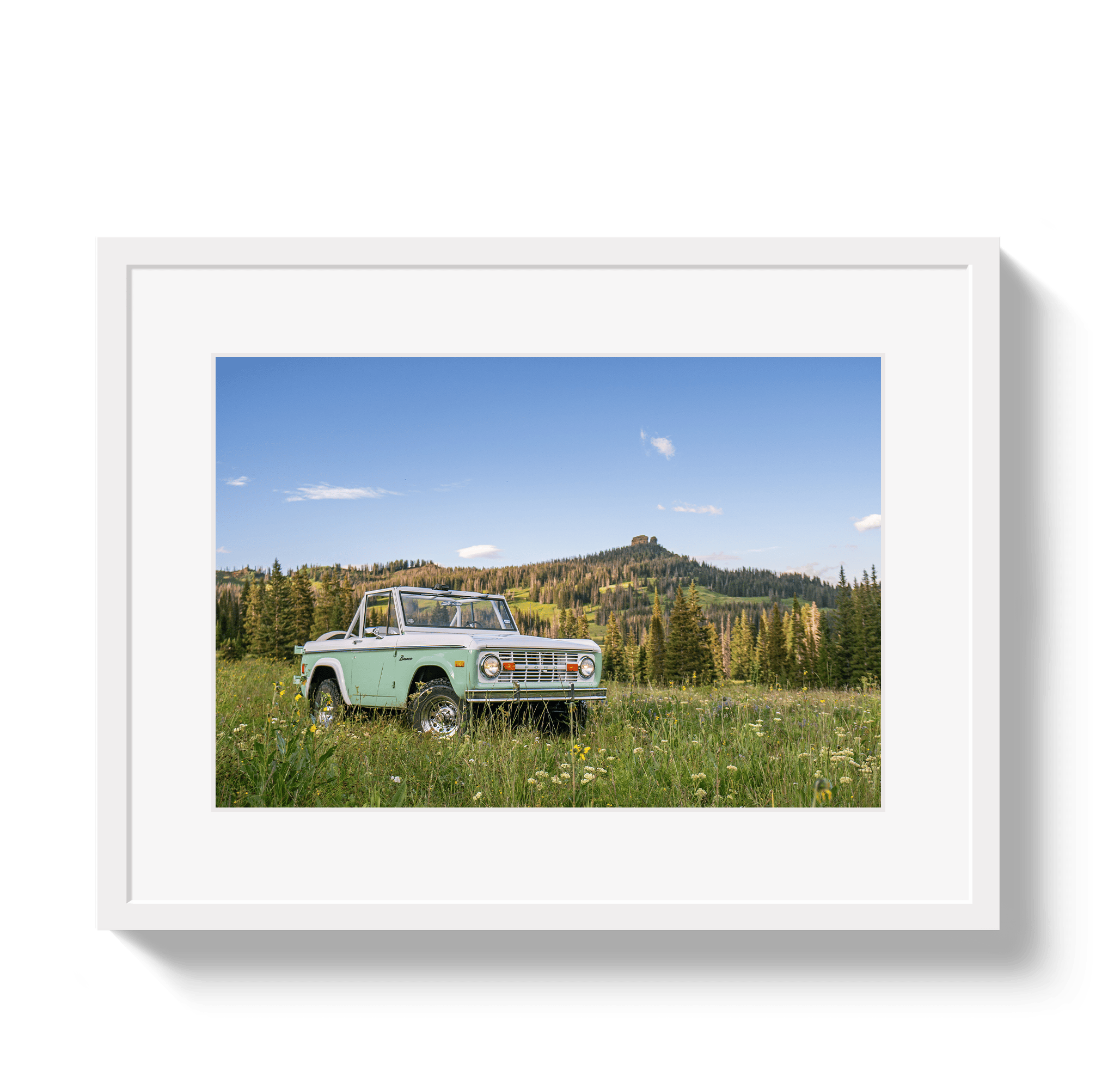 Johnny Vacay White / 11x14 / Matte Bronco View 2
