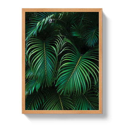 Palm