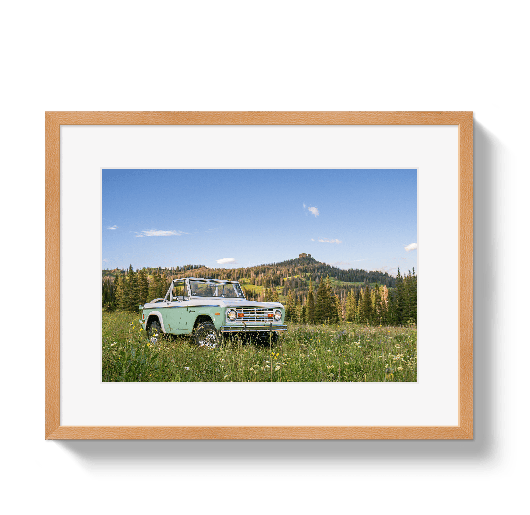 Johnny Vacay Oak / 11x14 / Matte Bronco View 2