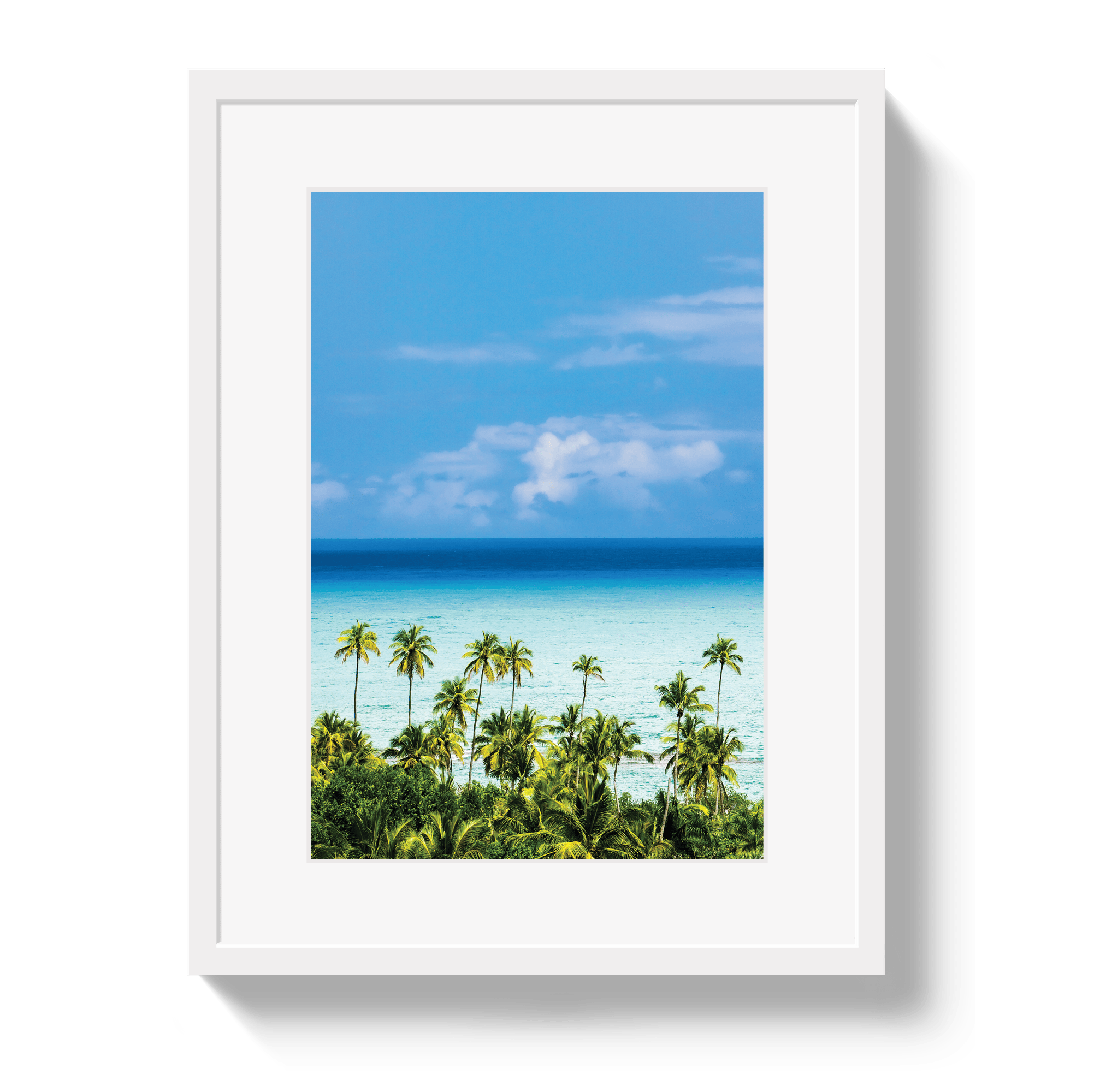 Johnny Vacay White / 11x14 / Matte Dominican Dream