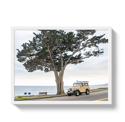 Johnny Vacay White / 11x14 / Full Bleed Central Coast FJ