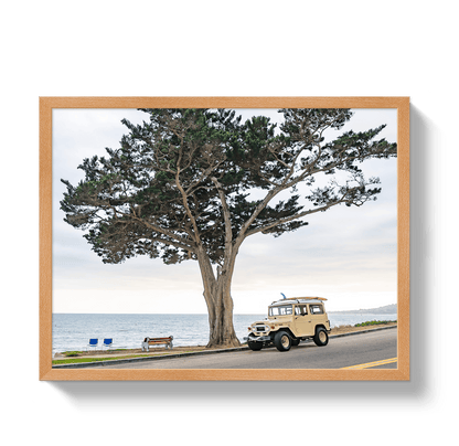Johnny Vacay Oak / 11x14 / Full Bleed Central Coast FJ