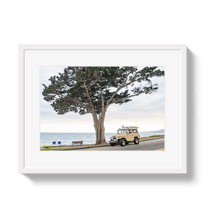 Johnny Vacay White / 11x14 / Border Central Coast FJ