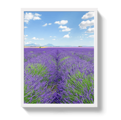 Johnny Vacay White / 11x14 / Full Bleed Lavender Fields 2
