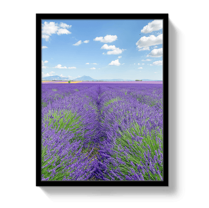 Johnny Vacay Black / 11x14 / Full Bleed Lavender Fields 2