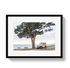 Framed artwork of a vintage car by a tree with ocean view