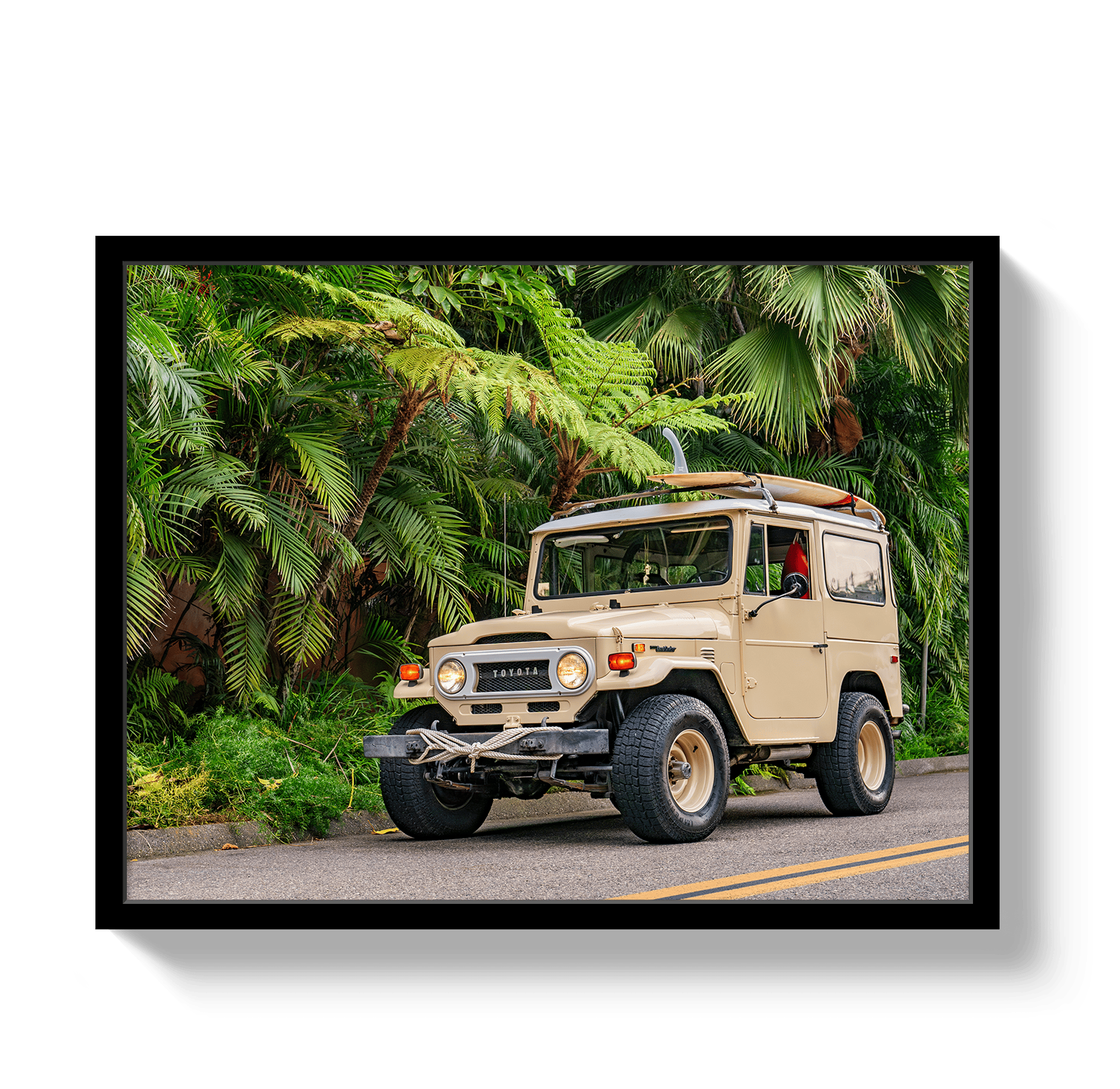Johnny Vacay Black / 11x14 / Full Bleed Tropical FJ