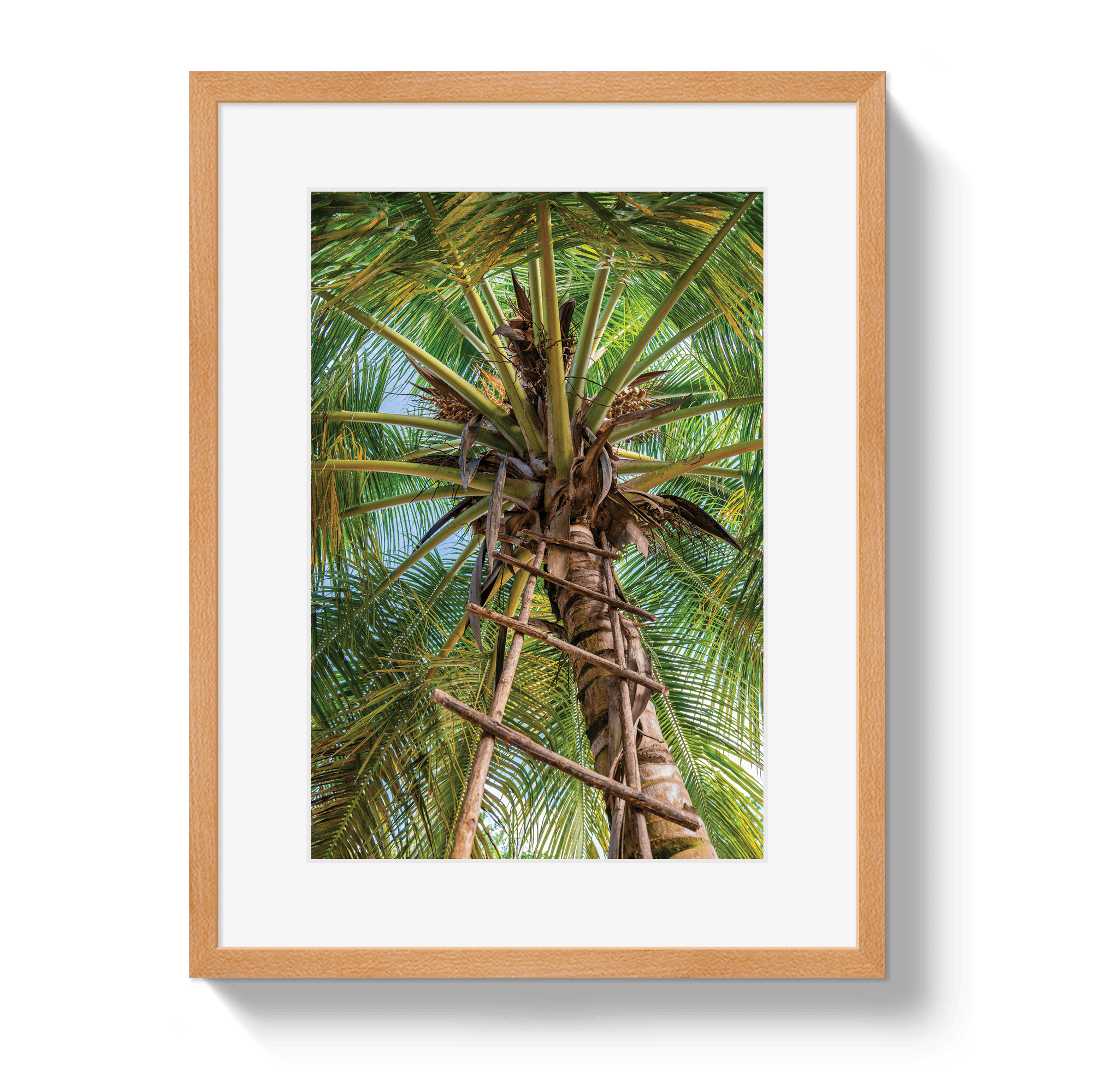 Johnny Vacay Oak / 11x14 / Matte Corporate Ladder