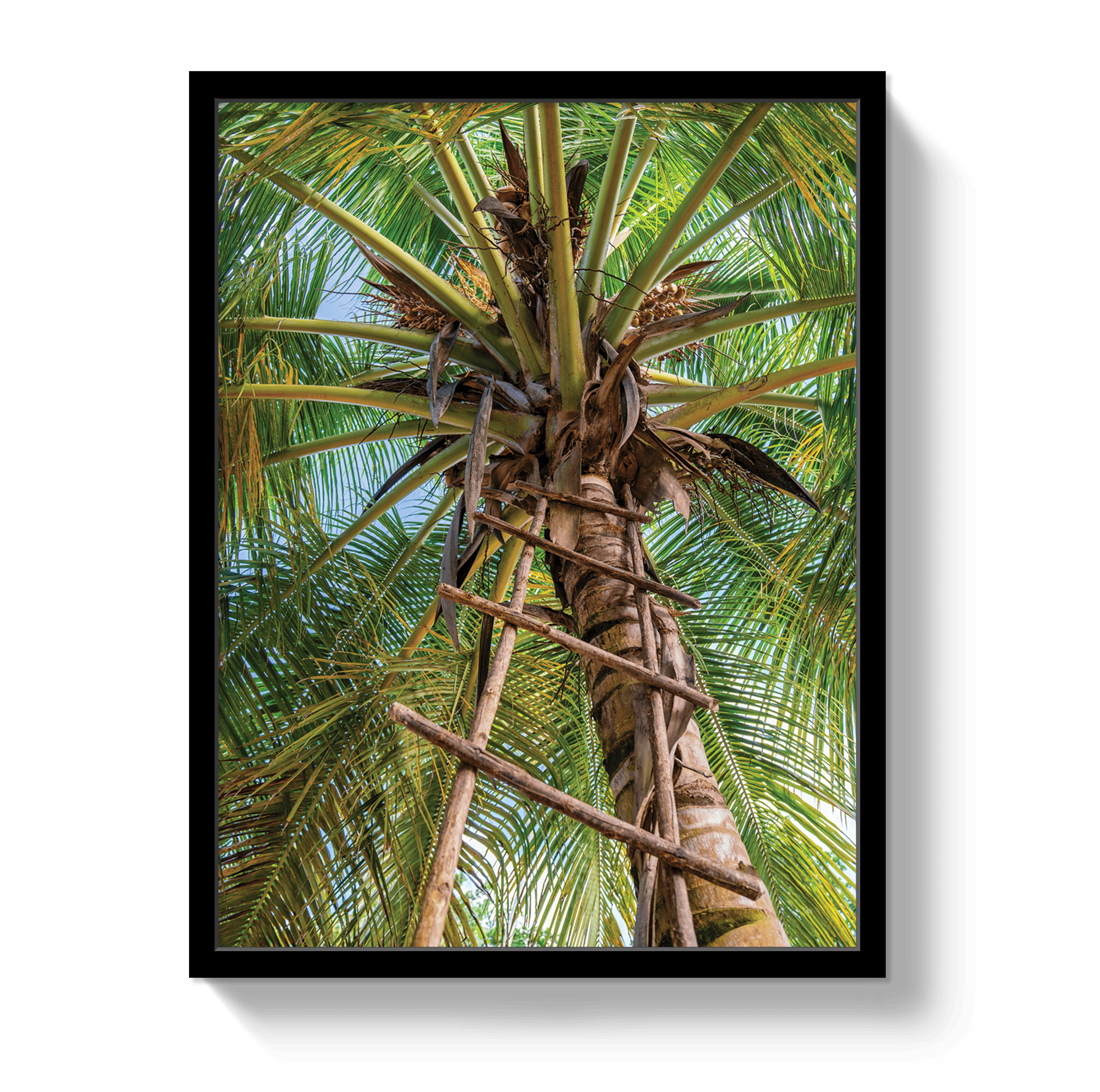 Johnny Vacay Black / 11x14 / Full Bleed Corporate Ladder