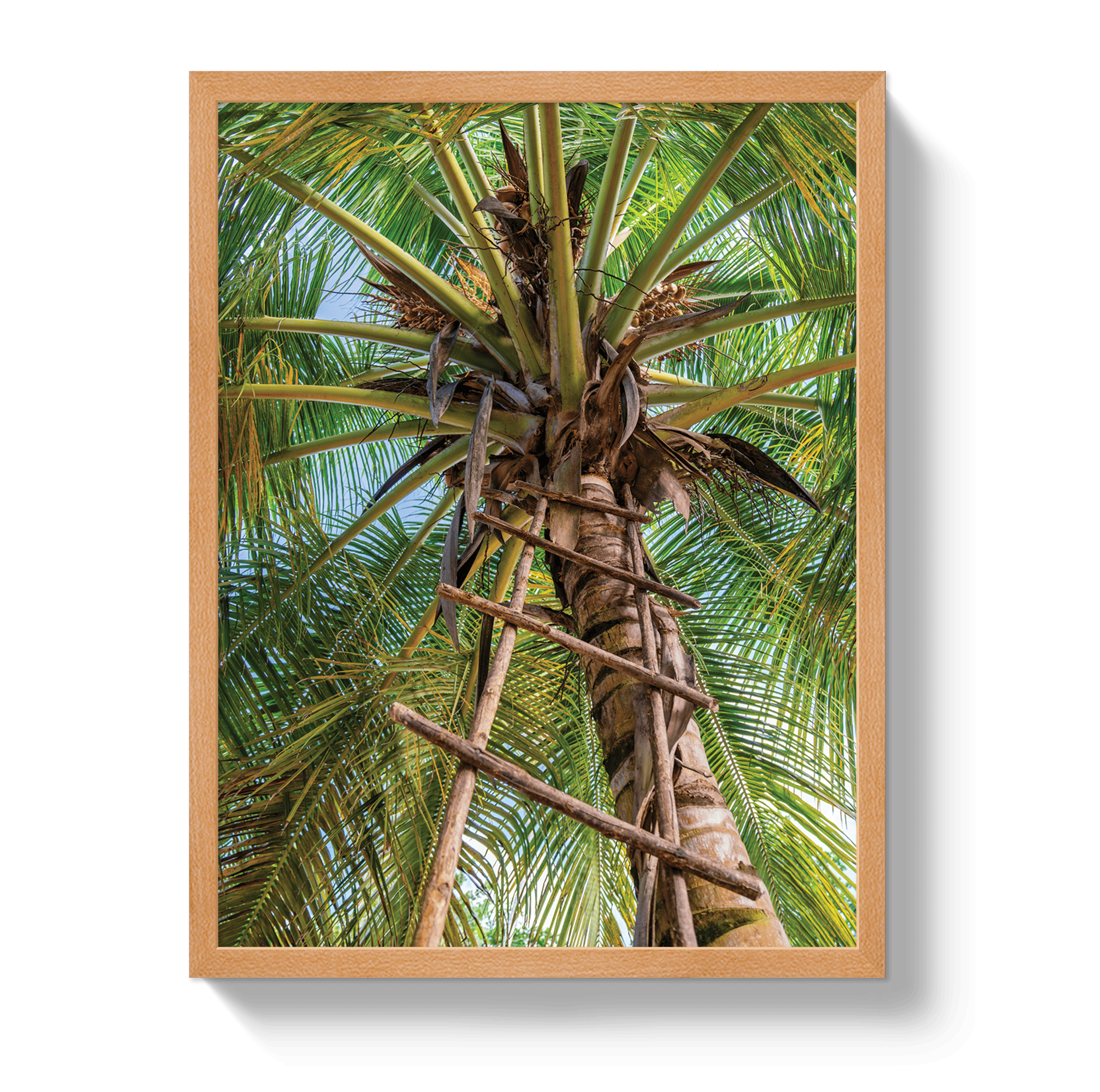 Johnny Vacay Oak / 11x14 / Full Bleed Corporate Ladder