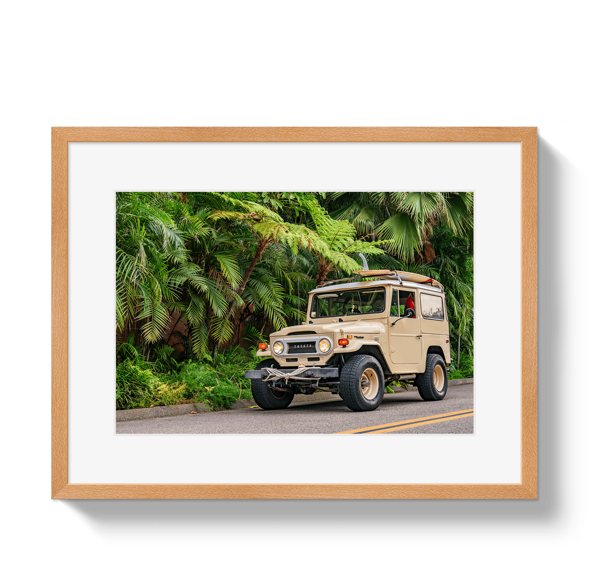 Johnny Vacay Oak / 11x14 / Matte Tropical FJ