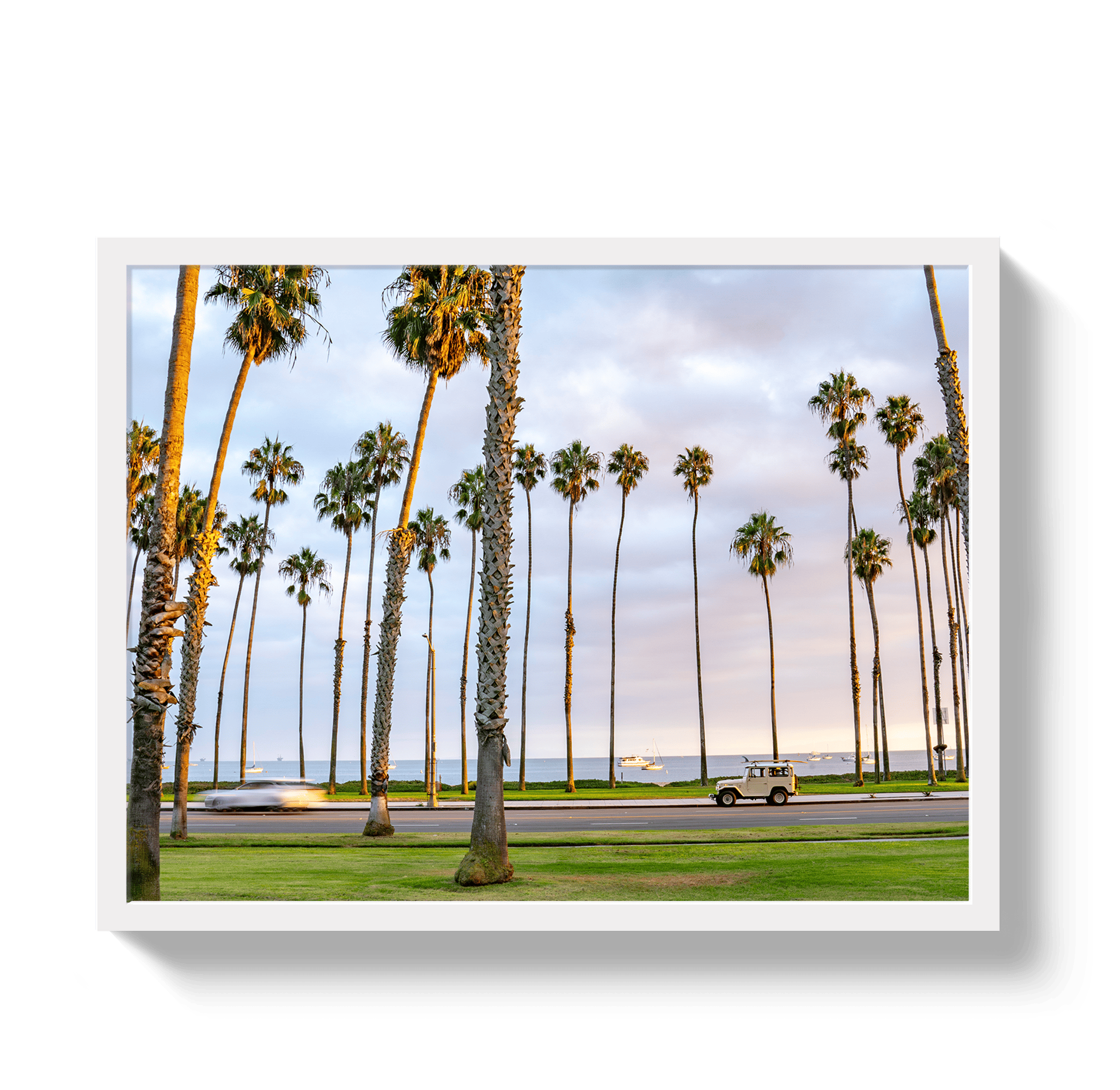 Johnny Vacay White / 11x14 / Full Bleed Santa Barbara FJ
