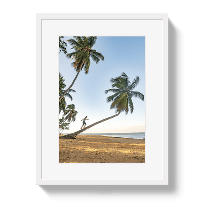 Johnny Vacay White / 11x14 / Border Palm Walk