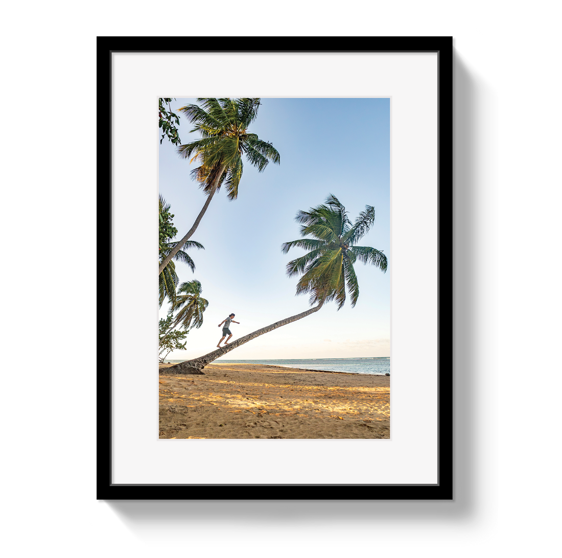 Framed artwork of a person climbing a palm tree on a beach.