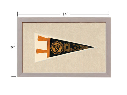 Vintage Clarkson College Pennant