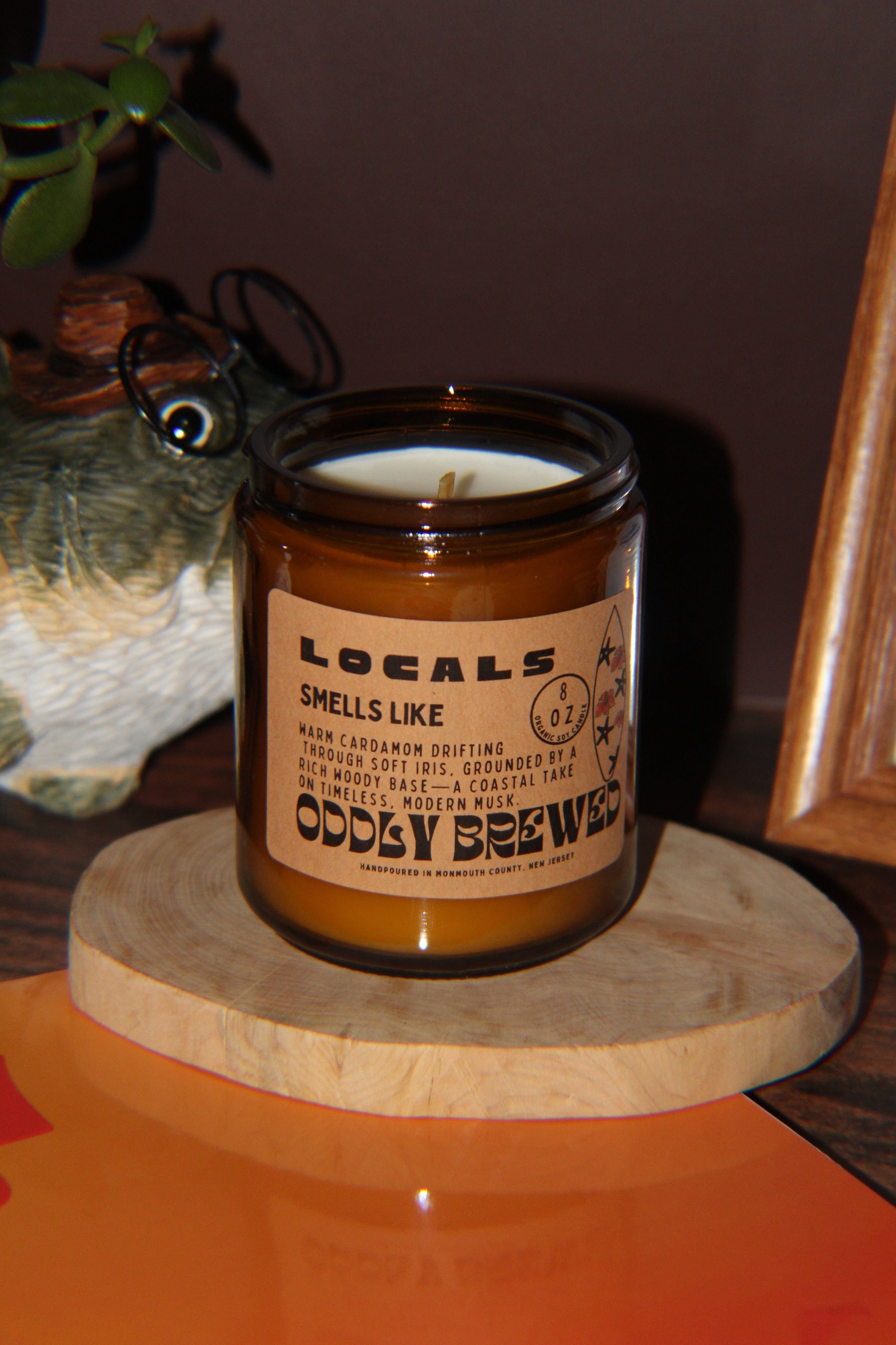 Oddly Brewed Candles Locals Soy Candle