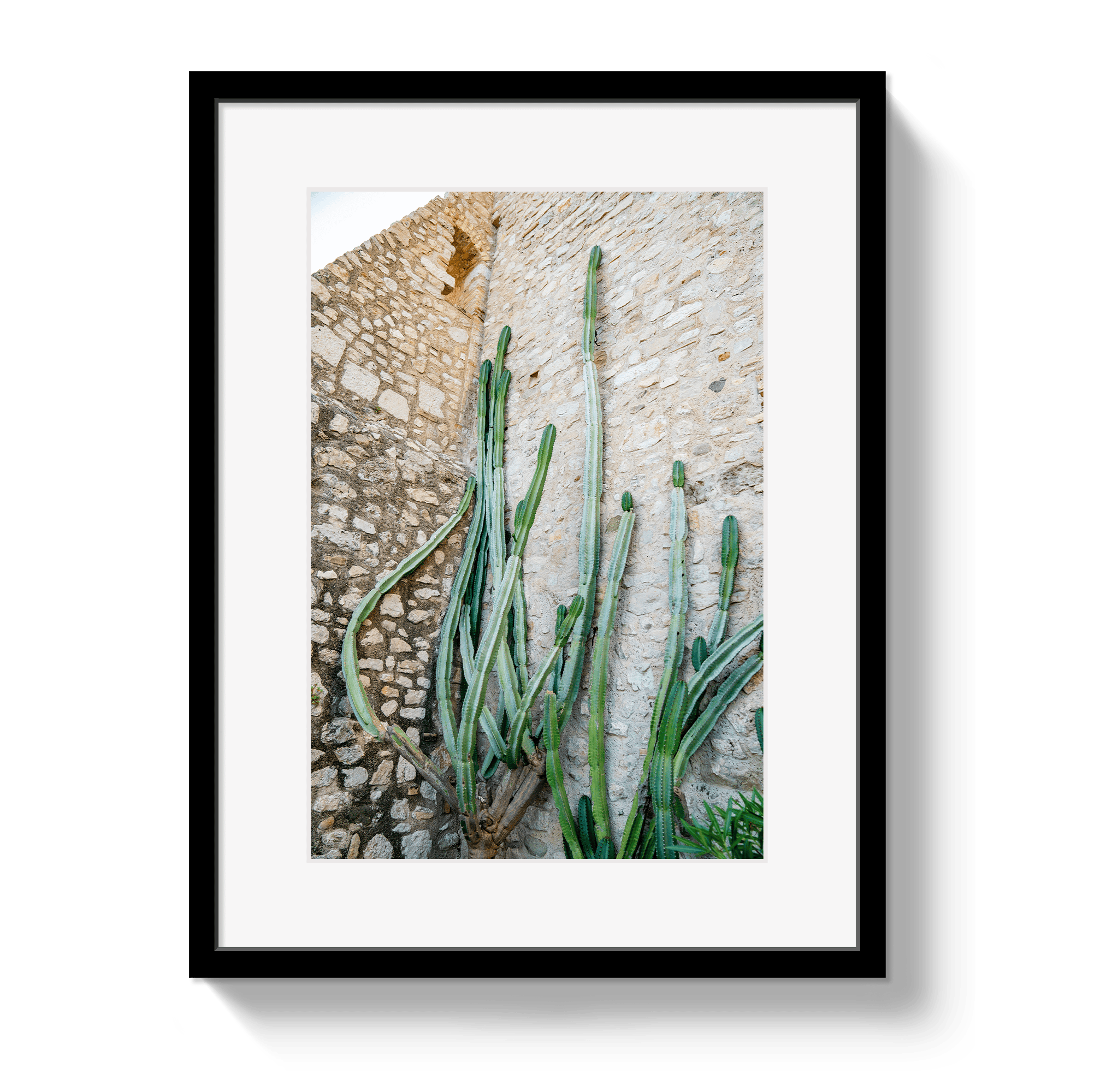 Johnny Vacay Black / 11x14 / Border Cactus Capri