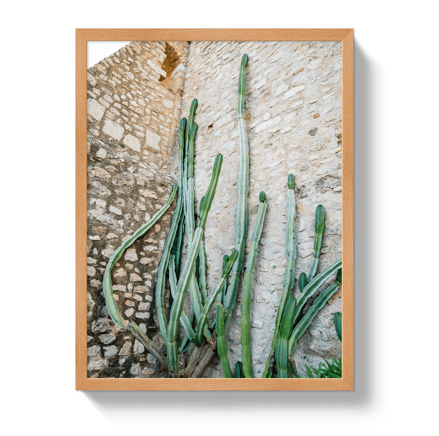 Johnny Vacay Oak / 11x14 / Full Bleed Cactus Capri