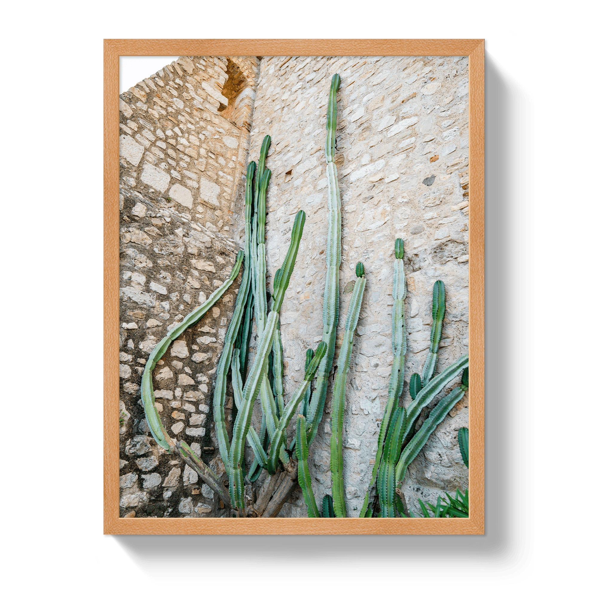 Johnny Vacay Oak / 11x14 / Full Bleed Cactus Capri
