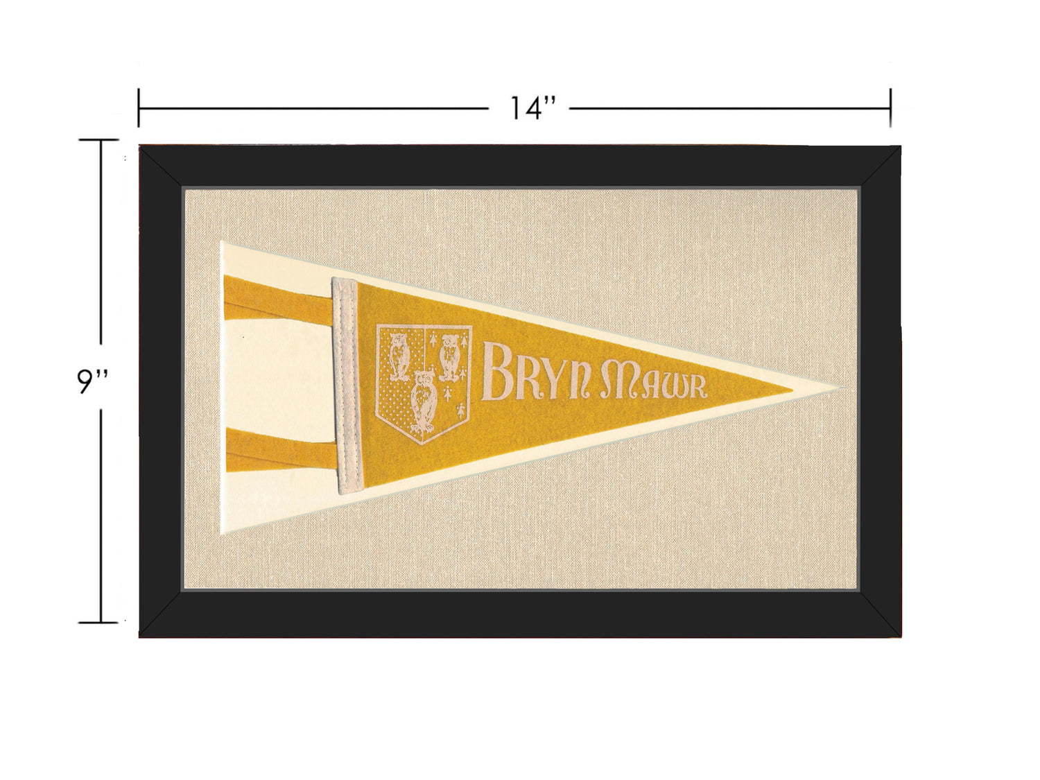 Vintage Bryn Mawr College Pennant