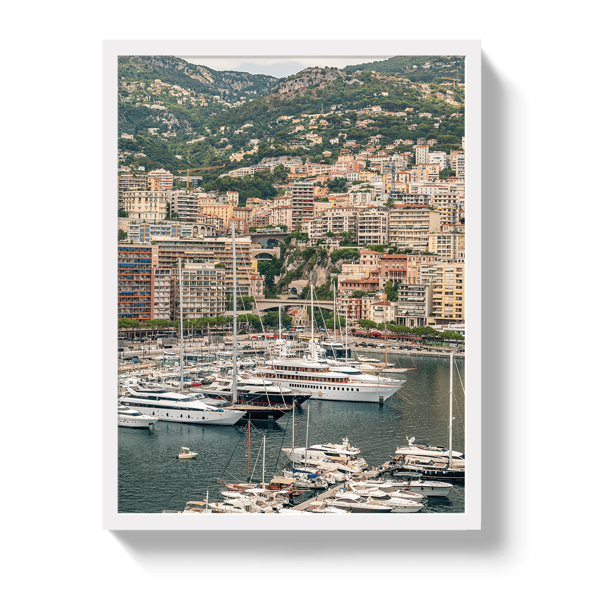 Johnny Vacay White / 11x14 / Full Bleed Monaco