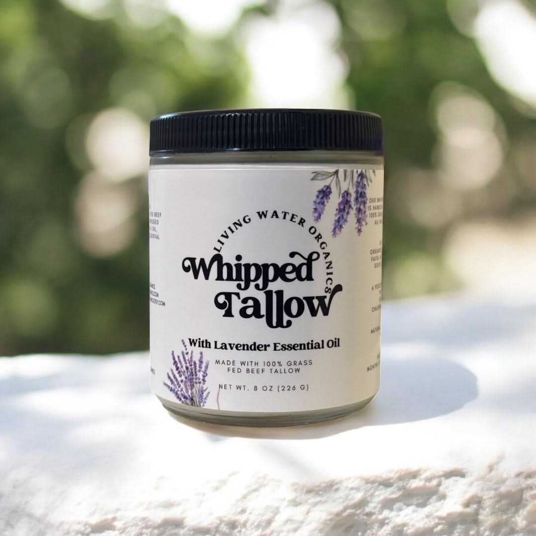 Living Water Organics 1 / Lavender Whipped Grass-Fed Tallow for Face &amp; Body