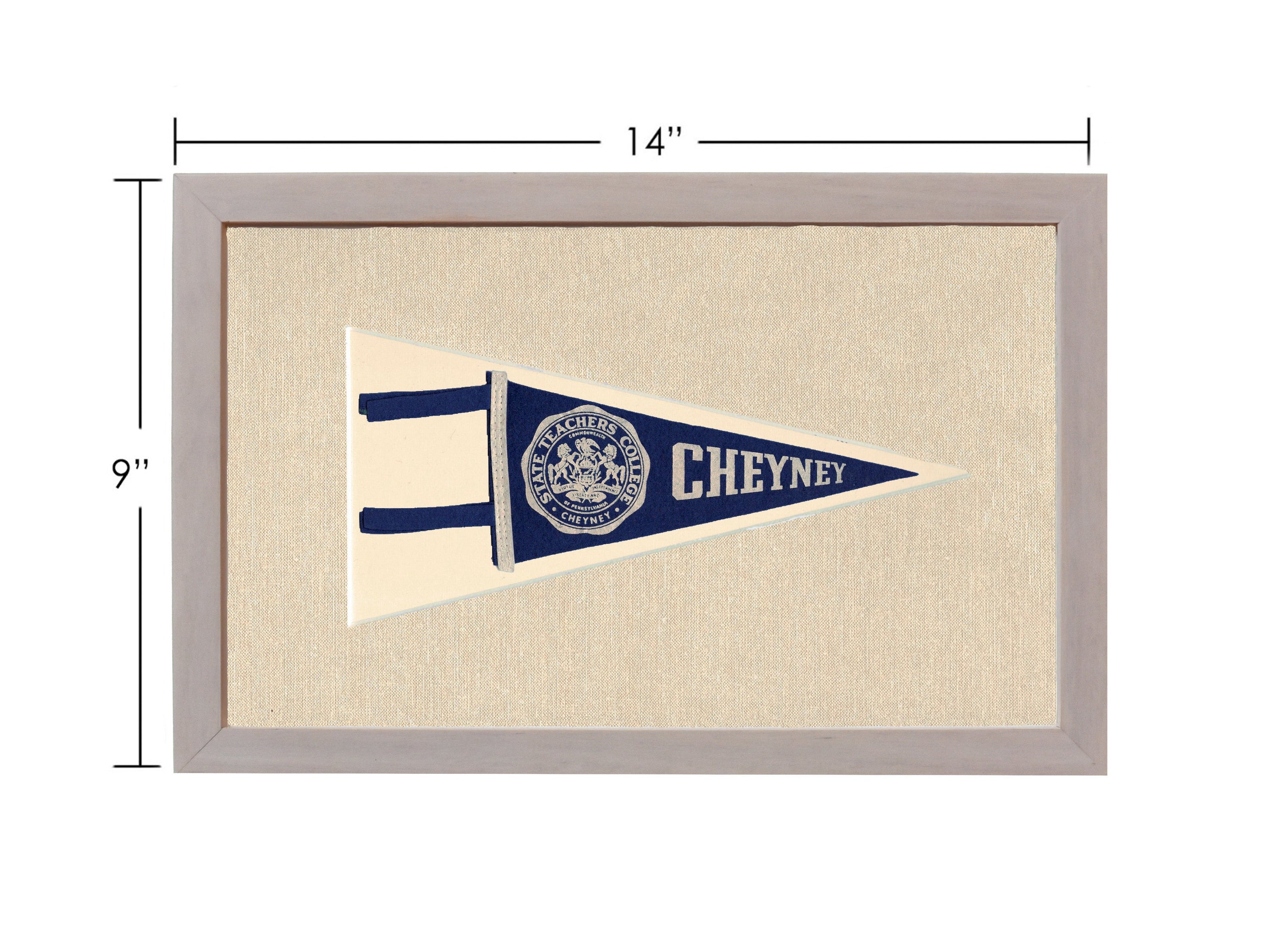 Vintage State Teachers College Pennant