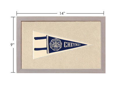 Vintage State Teachers College Pennant