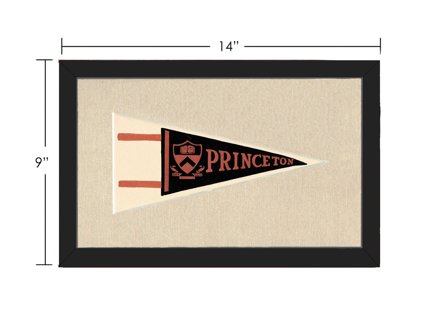 Americana Memories Vintage Pennants and Memorabilia Vintage Princeton Pennant