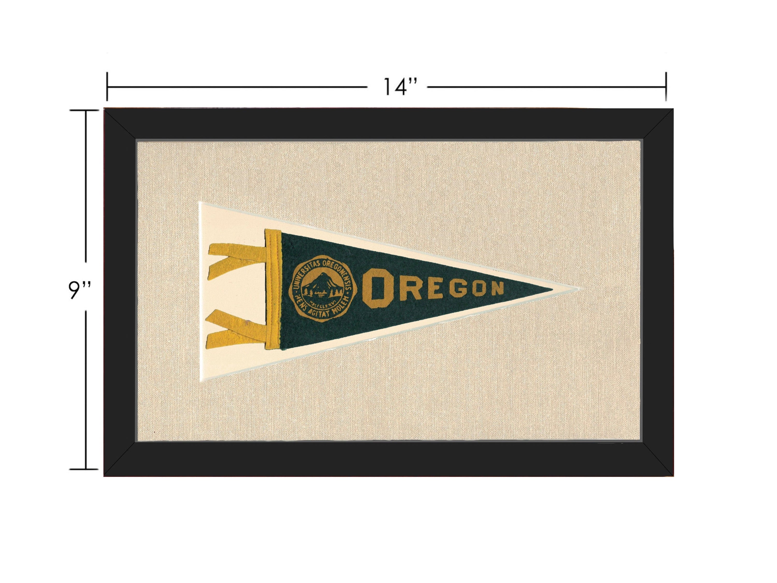 Americana Memories Vintage Pennants and Memorabilia Vintage University of Oregon Pennant
