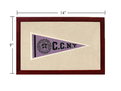 Americana Memories Vintage Pennants and Memorabilia Vintage City College of New York Pennant