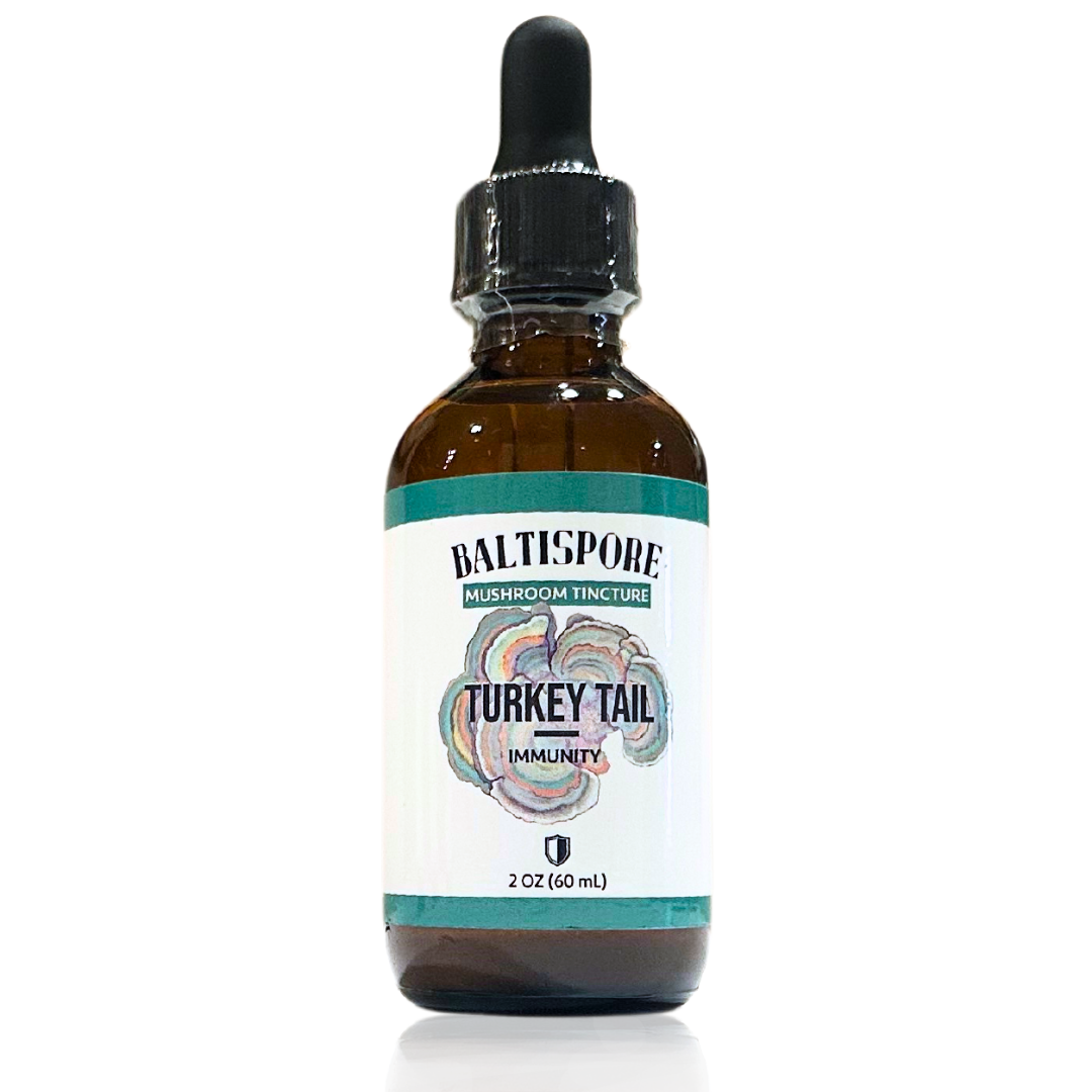 Turkey Tail Mushroom Tincture - My American Goods