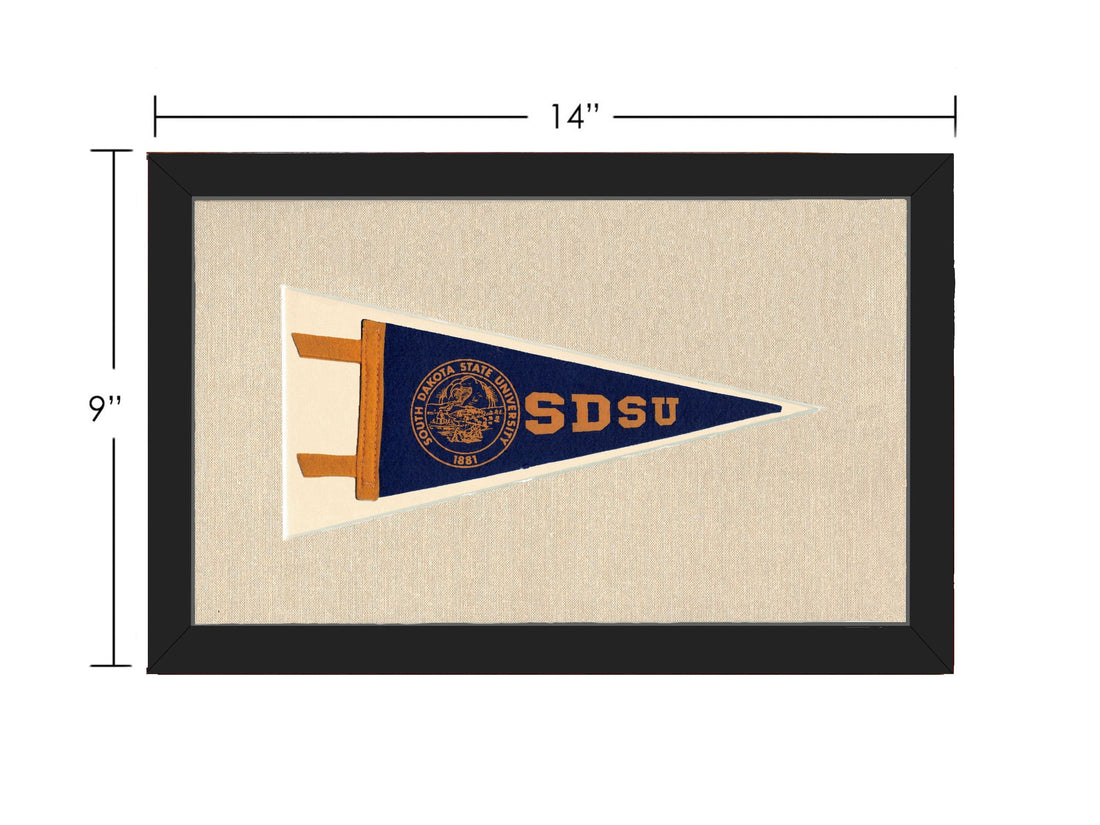 Americana Memories Vintage Pennants and Memorabilia Vintage South Dakota State University Pennant