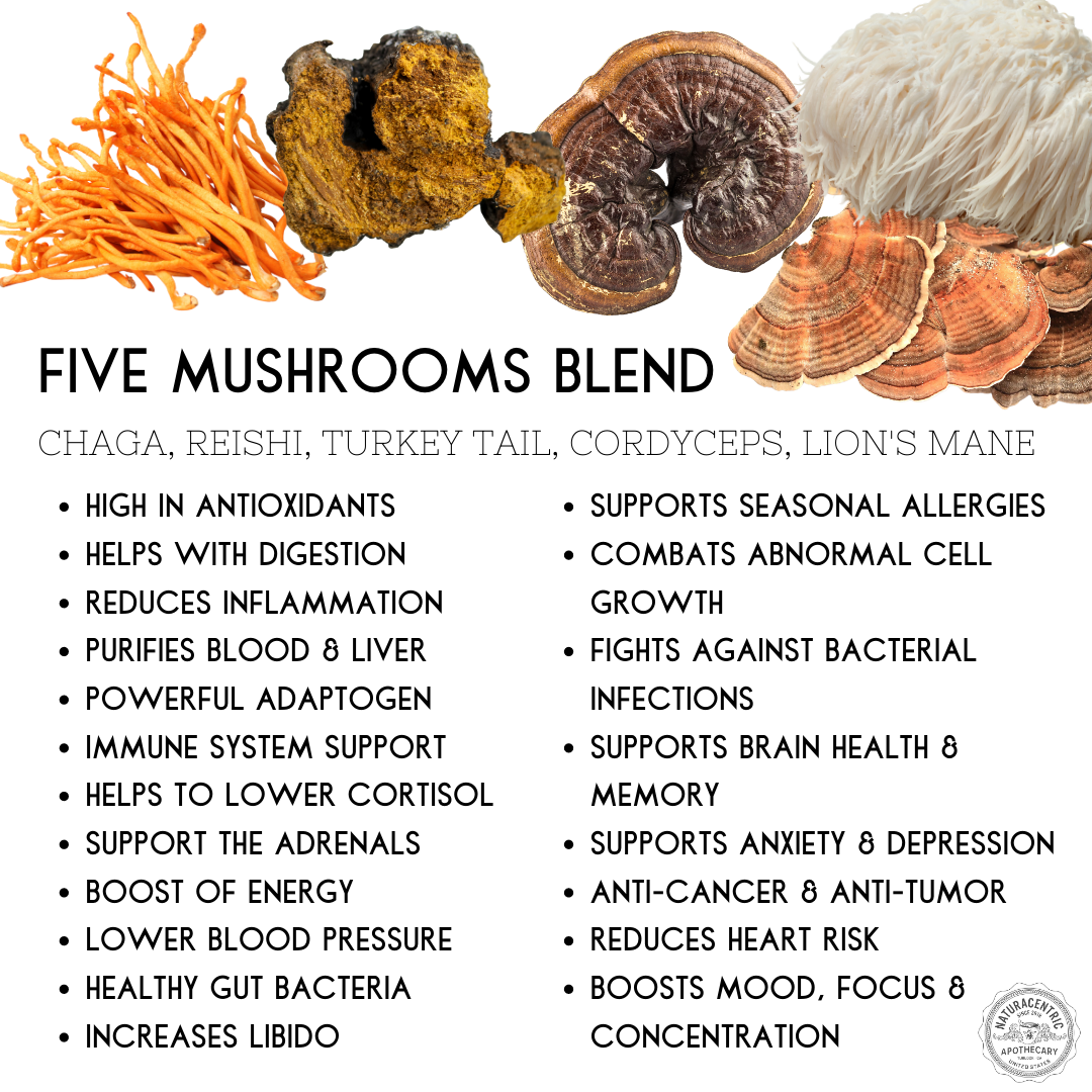 Five Mushrooms Tincture