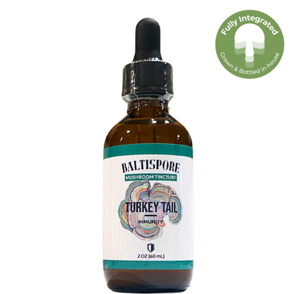 Turkey Tail Mushroom Tincture - My American Goods