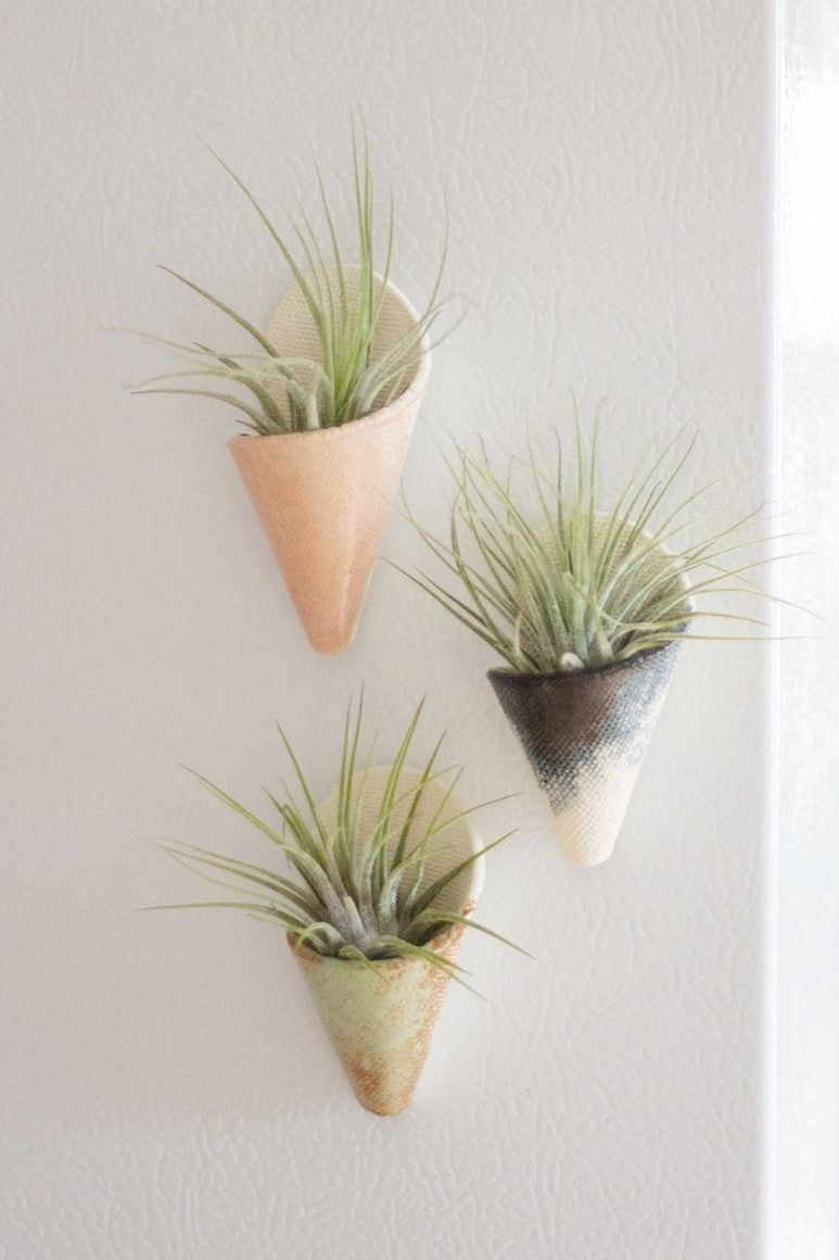 Mini Wall Planter Magnet - My American Goods