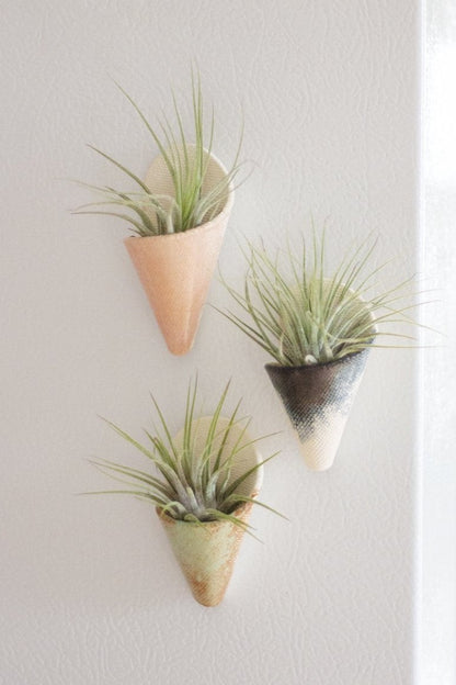Mini Wall Planter Magnet - My American Goods