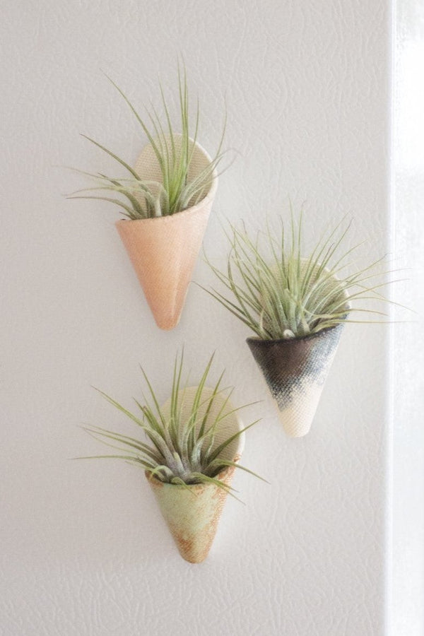 Mini Wall Planter Magnet - My American Goods