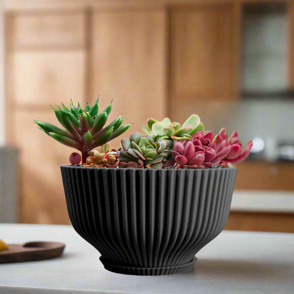 Bonsai Pot with Drainage &amp; Tray - My American Goods