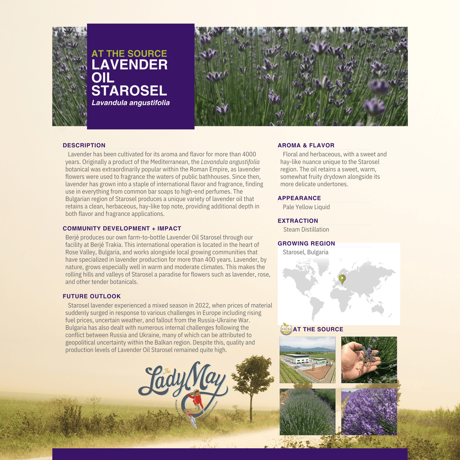 Lavender Tallow "Relax" Premium Quality All Natural Gift Box by The Lady May