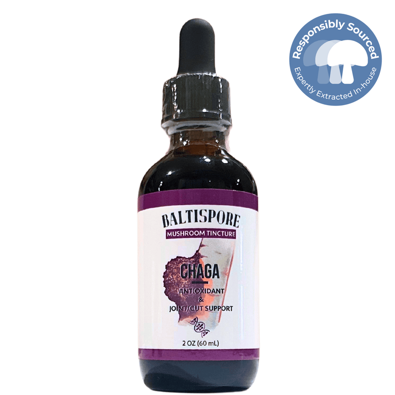 BaltiSpore Tincture Chaga Mushroom Tincture