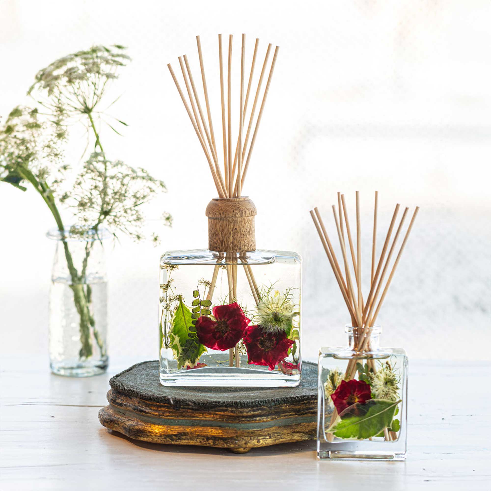 Accent Botanical Reed Diffuser - Winterberry Frost