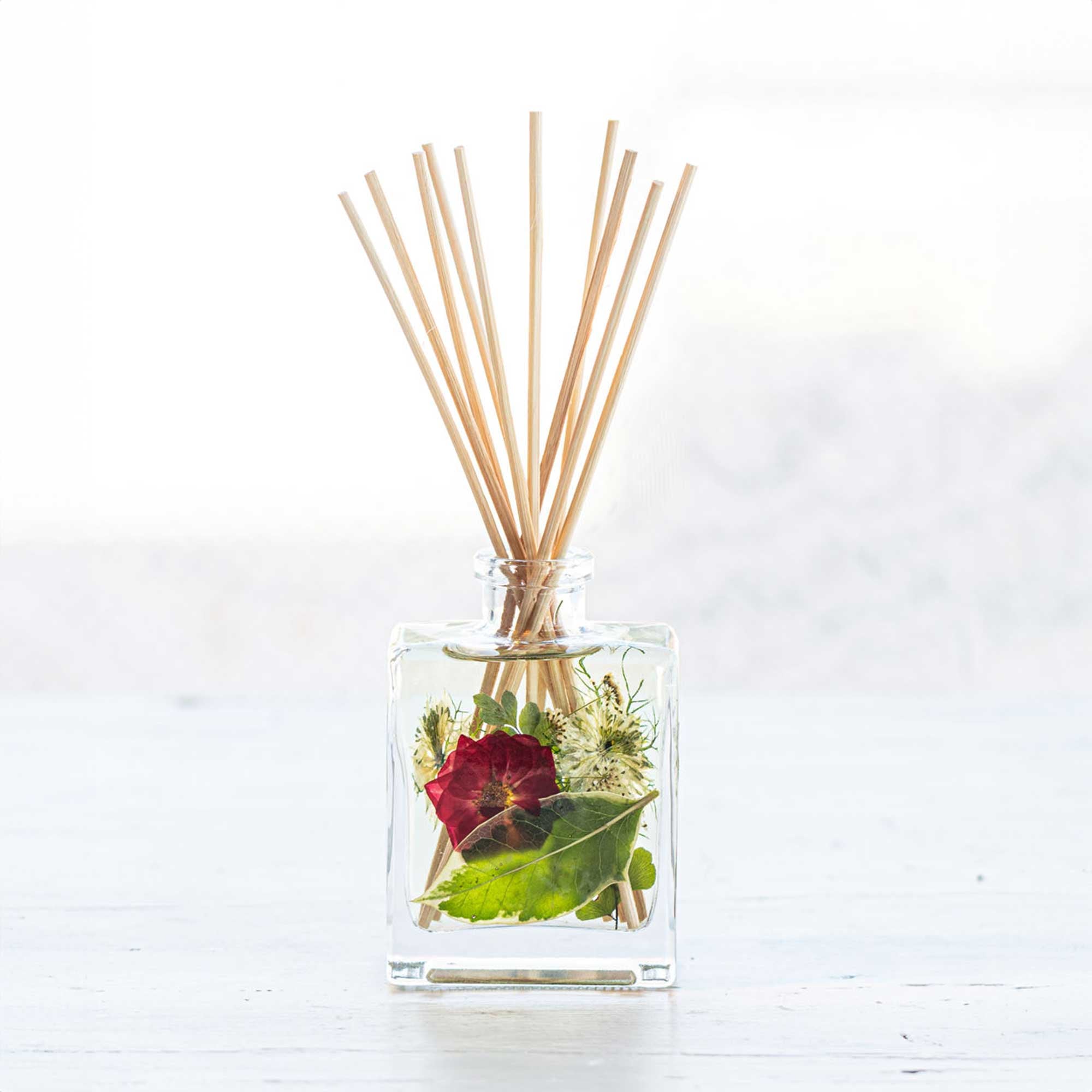 Accent Botanical Reed Diffuser - Winterberry Frost