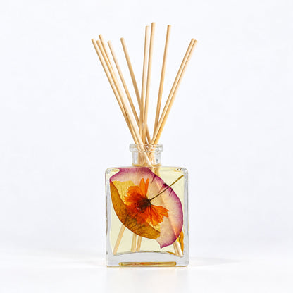 Accent Botanical Reed Diffuser - Sugared Citrus