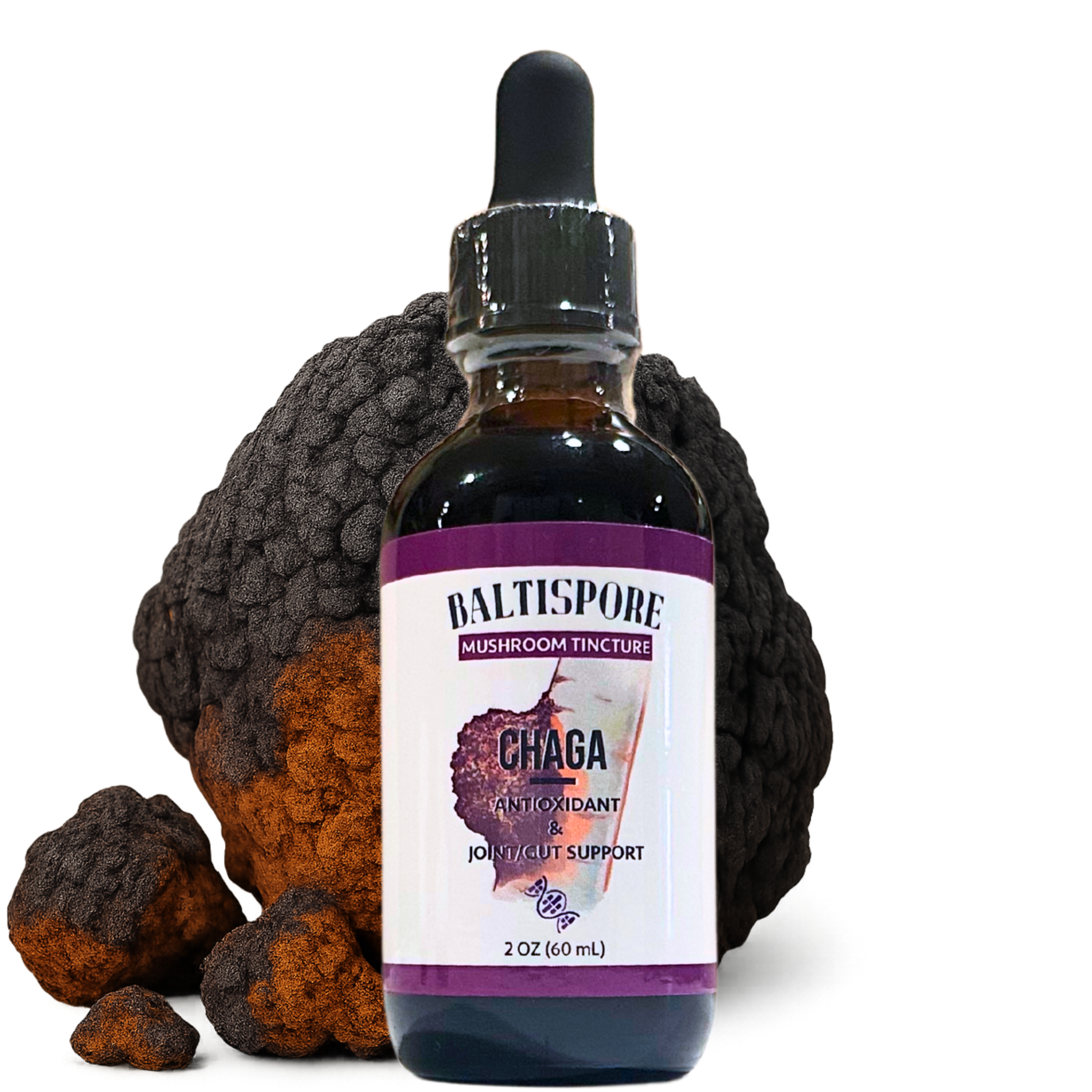 Chaga Mushroom Tincture - My American Goods