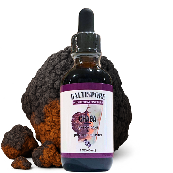 Chaga Mushroom Tincture - My American Goods